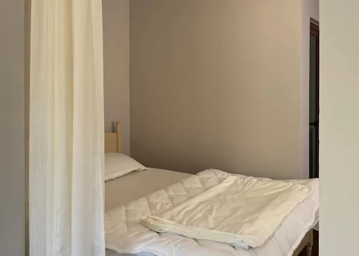 Meta * Tirana